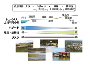 図1： 生態系を活用した防災減災（Eco-DRR）では、ハザードの高い場所での人間活動の曝露を小さくし、ハザードの低い場所で主な人間活動をおこなうことで、災害リスクを減らしつつ、生態系の豊かな恵みを利用できる。