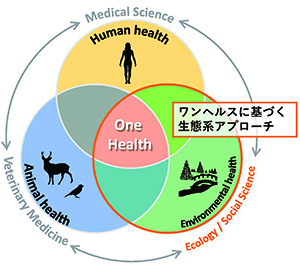 図1：ワンヘルスに基づく生態系アプローチ。感染症新興化リスクの抑制には、生態系の健全性を基盤とした人の社会のあり方を含めた対策が必要です。