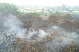 写真１：ドローンで撮影した熱帯泥炭火災。インドネシアリアウ州プララワン県2019年9月撮影。
