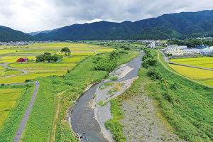 写真２：福井県北川流域に残る霞堤（かすみてい）。北川流域には、このような霞堤（不連続堤）が多く残っており、流域の治水に役立っているほか、豊かな生物多様性を支えるとともに自然の恵みをもたらしている。2020年9月撮影。