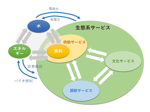 図1：水、エネルギー、食料、生態系のネクサス