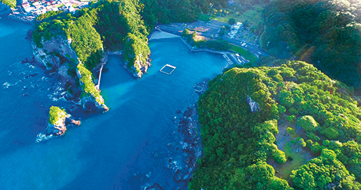 ドローンで撮影した和歌山県太地町