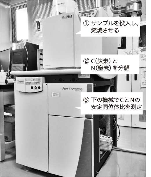 炭素・窒素同位体比分析装置02