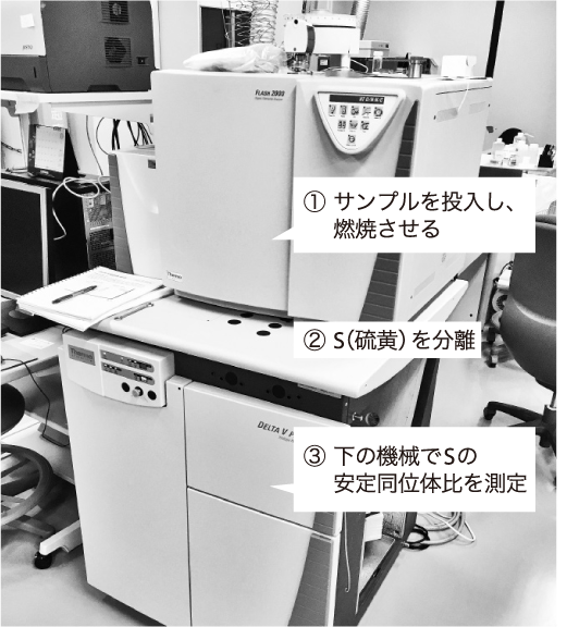 硫黄同位体比分析装置