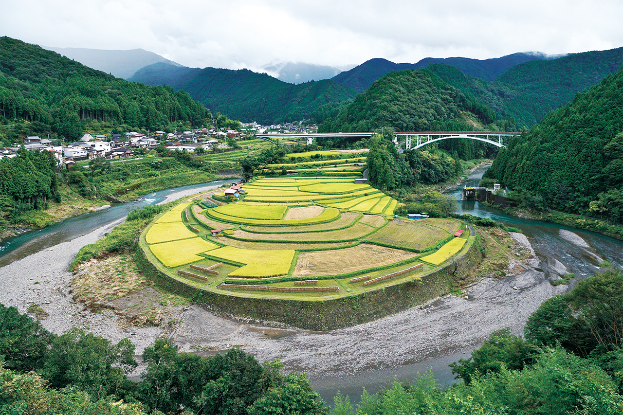 あらぎ島(嶋新田)