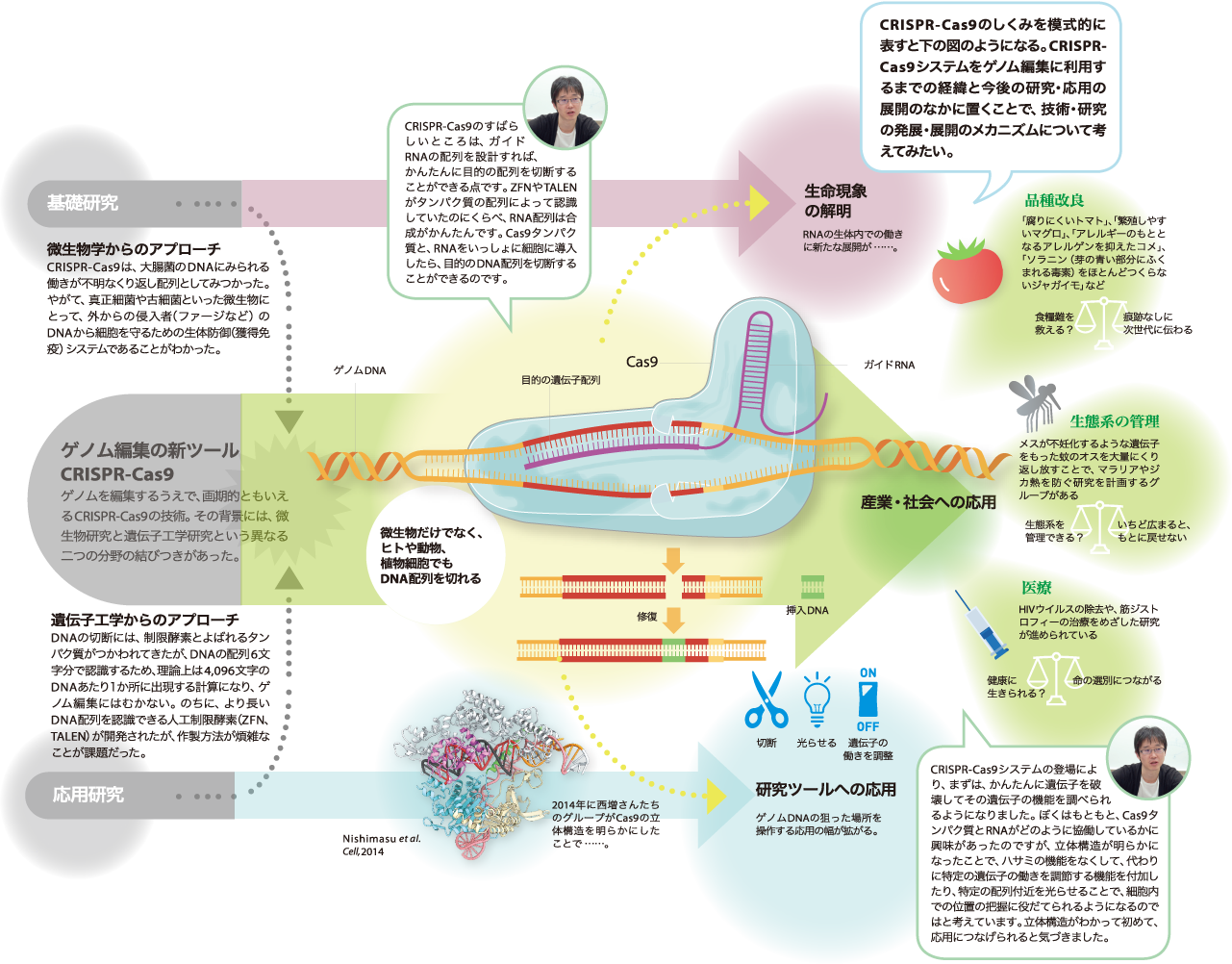 図・現在のゲノム編集技術