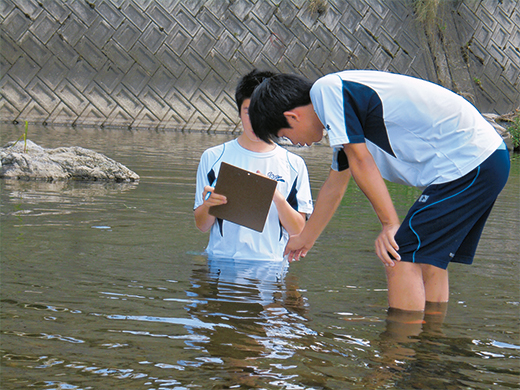 合流後の地点の水温は32.0℃だった