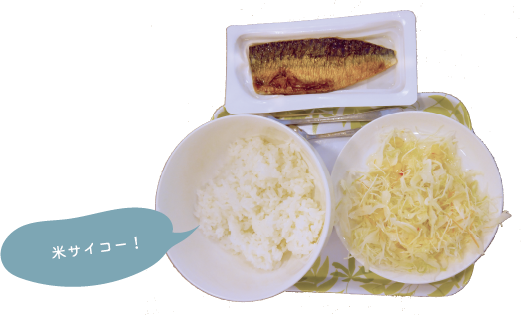 コンビニで調達した焼き鯖とコールスロー