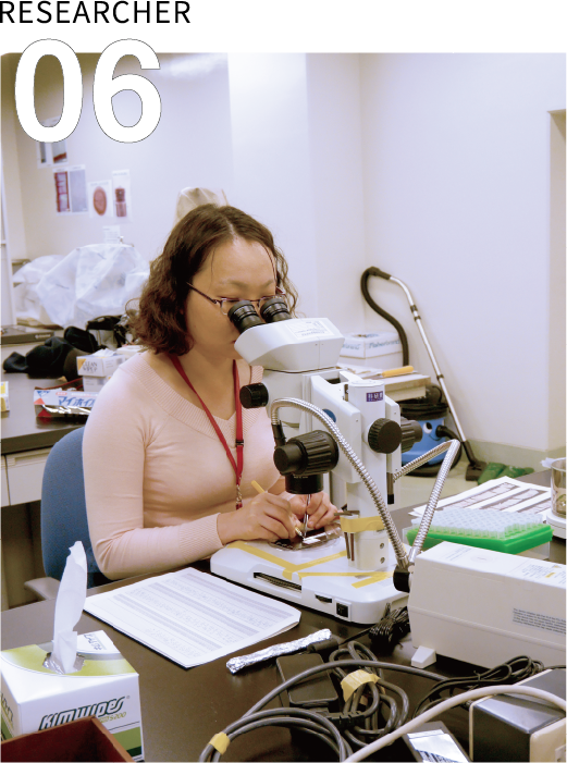 RESEACHER 06