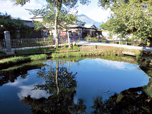 大量に水が湧き出る湧池(わくいけ)