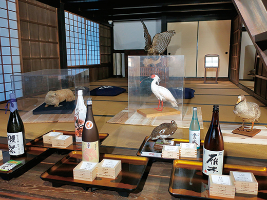 企画展「日本酒の自然誌」