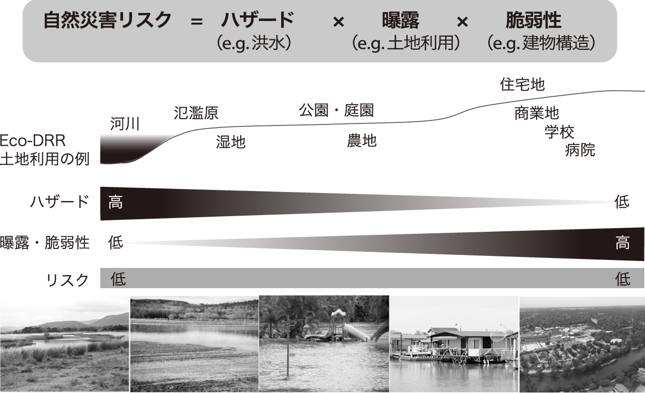 図1