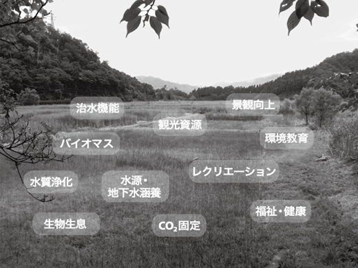 図2
