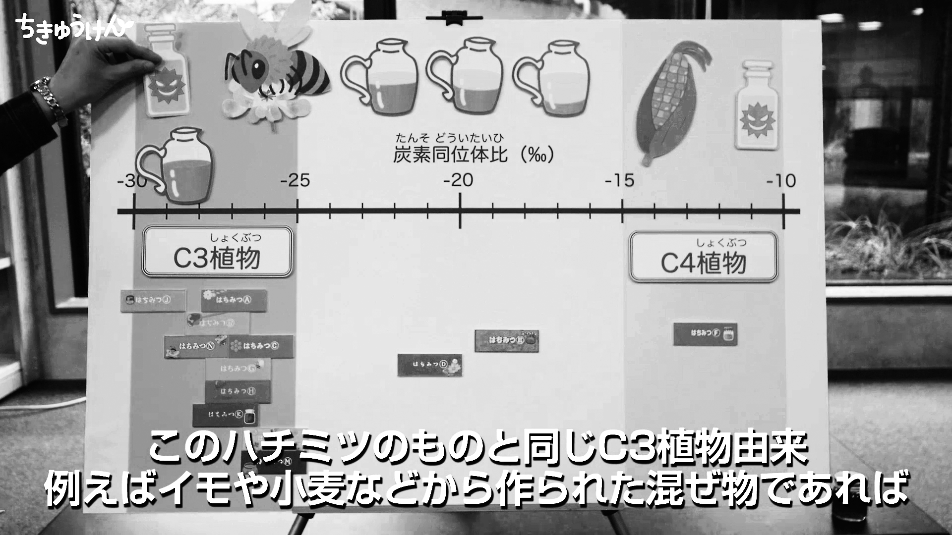 動画2のひとコマ03