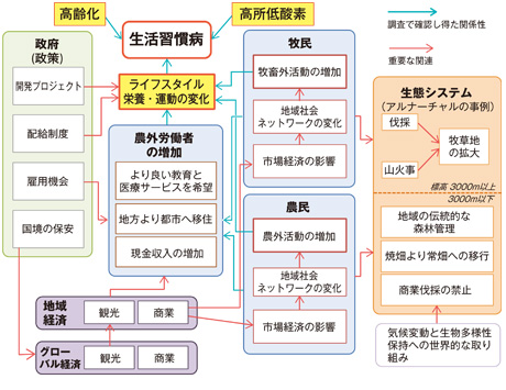 図　農・牧外労働、高齢化、低酸素適応のトレードオフによる、生活習慣病の増加