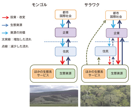 図　モンゴル草原とサラワク熱帯林の生態系ネットワークの重要な差異