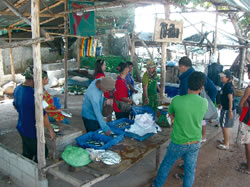 写真2　タイの住民組織による共同販売店