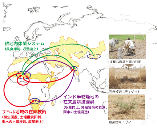 水平技術移転へのアクションリサーチ