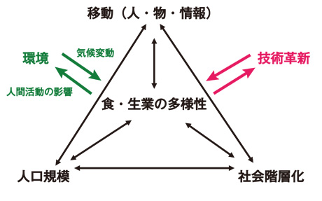 図　文化の長期的変化の原因・条件・結果