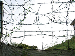 写真 韓国・平澤の軍事施設を取り囲む鉄条網(田中雅一撮影)