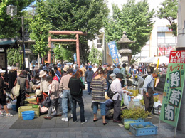 写真　日本のファーマーズマーケット