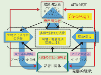 図1 プロジェクト概念図