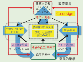 図1　プロジェクト概念図