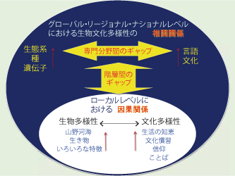 図2　生物文化多様性認識のマクロレベルとローカルレベルにおけるギャップ