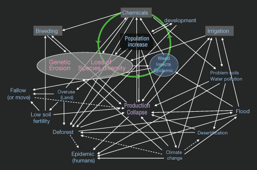 Human-Food Web（人と食の連関図）