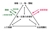 図2　文化の長期的変化の原因・条件・結果