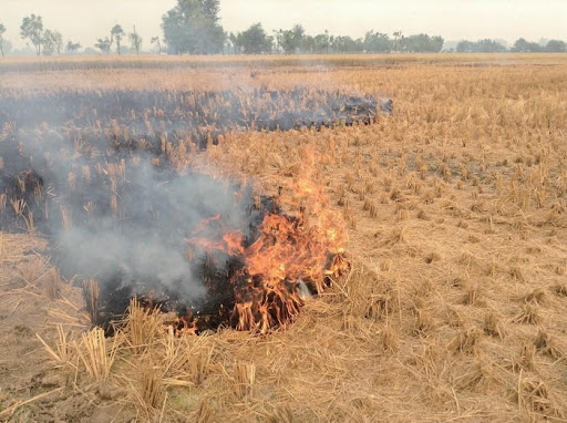 Photo A scene of burning rice straw captured in Ludhiana district, Punjab, on Nov. 2, 2018.