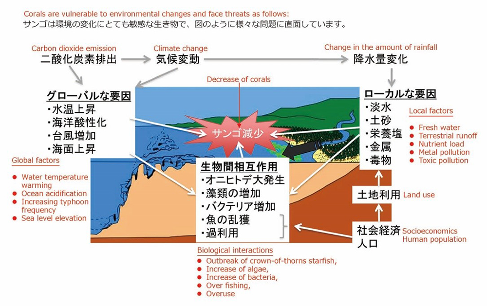 Figure 1. A schematic diagram explaining multiple stressors that affect coral reefs