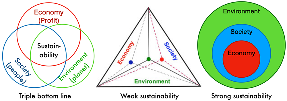 Figure 1 Visualizations of the sustainability concept (adapted from Wu, 2013).