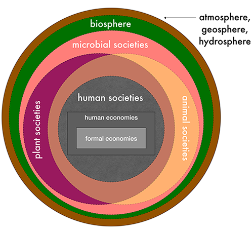 Figure 2 Visual model of multispecies sustainability focused on interdependence. Elements depend on those containing them, and are affected by those they contain.