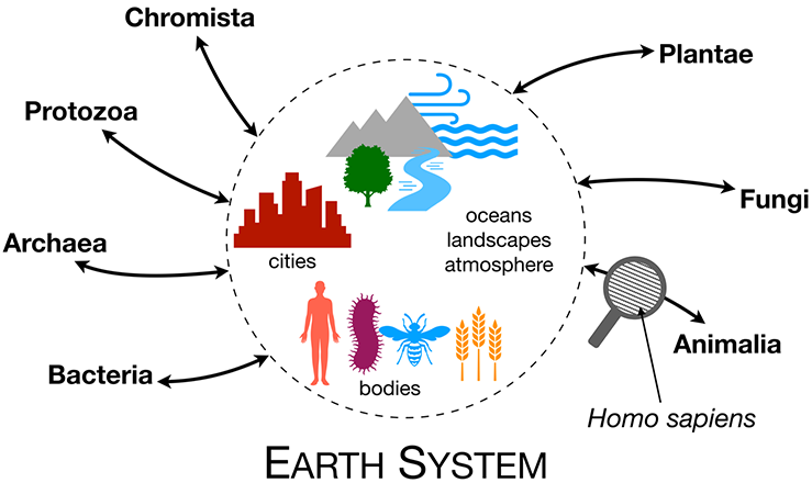 Figure 3 Visual model of multispecies sustainability emphasizing shared agency in shaping the earth system.