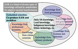 Figure 1 Structure of ILEK