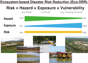 Ecosystem-based disaster risk reduction (Eco-DRR) not only lowers disaster risks but also receives benefits of ecosystem services by reducing the exposure of human activities in high-hazard locations and performing human activities in low-hazard places.