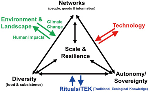 Figure 2 Key Aspects in the Discussion of System Scale and Resilience