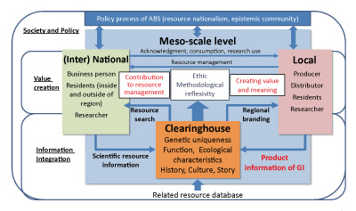 Proposed meso-scale scheme based on co-design and co-production