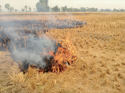 A photo of straw burning taken at Ludhiana in the state of Punjab on November 2, 2018.