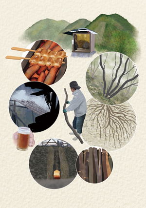 This project examines the links between material culture and landscapes from local actors' points of view. This graphic describes the links between forest landscape and ecology, quality of timber, techniques of kiln management, and use of high quality charcoal (known as binchotan) produced in Wakayama Prefecture, Japan.