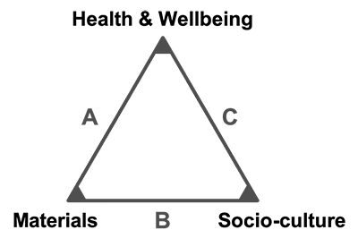 Figure 1 The Sanitation Triangle Model.