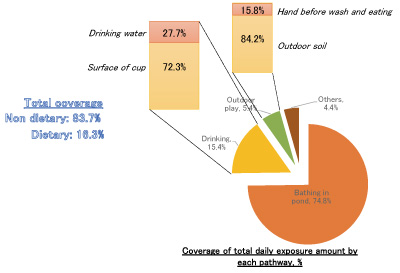 Figure 2 E. coli exposure pathways. Example of measurement in Bangladesh, From: Harada et al. (2017) Fecal exposure analysis and E. coli pathotyping: a case study of a Bangladeshi slum, International Symposium on Green Technology for Value Chains 23-24 October, 2017, Balai Kartini, Jakarta.