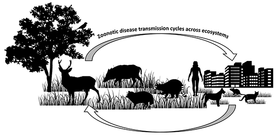 The goal of the ecosystem approach is to explore how society can maintain appropriate relationships with natural ecosystems. It analyzes species interactions across ecosystems, and provides insight on appropriate behavioral changes.