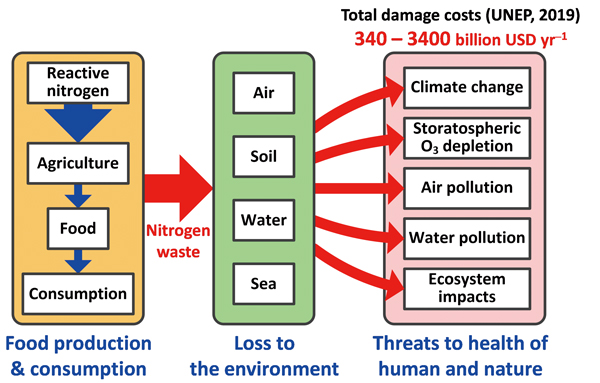 Nitrogen input to the food system as fertilizer induces a variety of environmental impacts threatening the health of humans and nature.