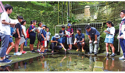 Student participation in an action research event in Southern Okinawa, Ryukyu Islands.