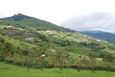 Land-use pattern in mountain area in Thailand