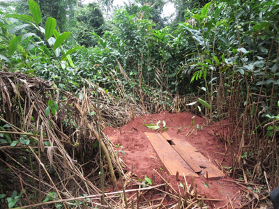 カメルーン東部、焼畑農耕民コナベンベのトイレ。穴を掘って、板を渡した簡易なつくりである。